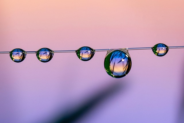 Vancouver digital studio team analyzing content distribution metrics across multiple platforms